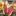 FlyTrapCare