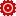 Nasnet